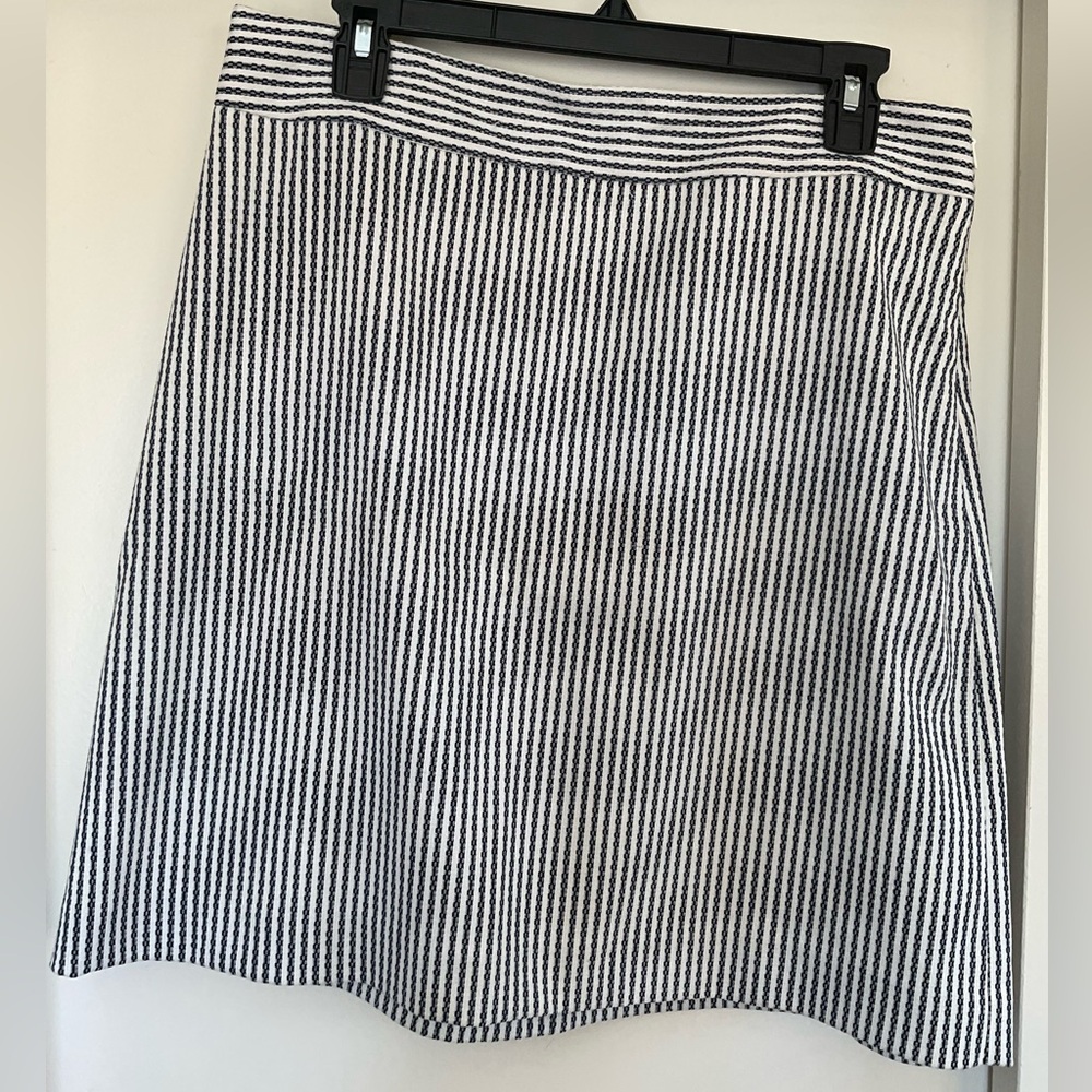 Striped Black and White Women's Skirt